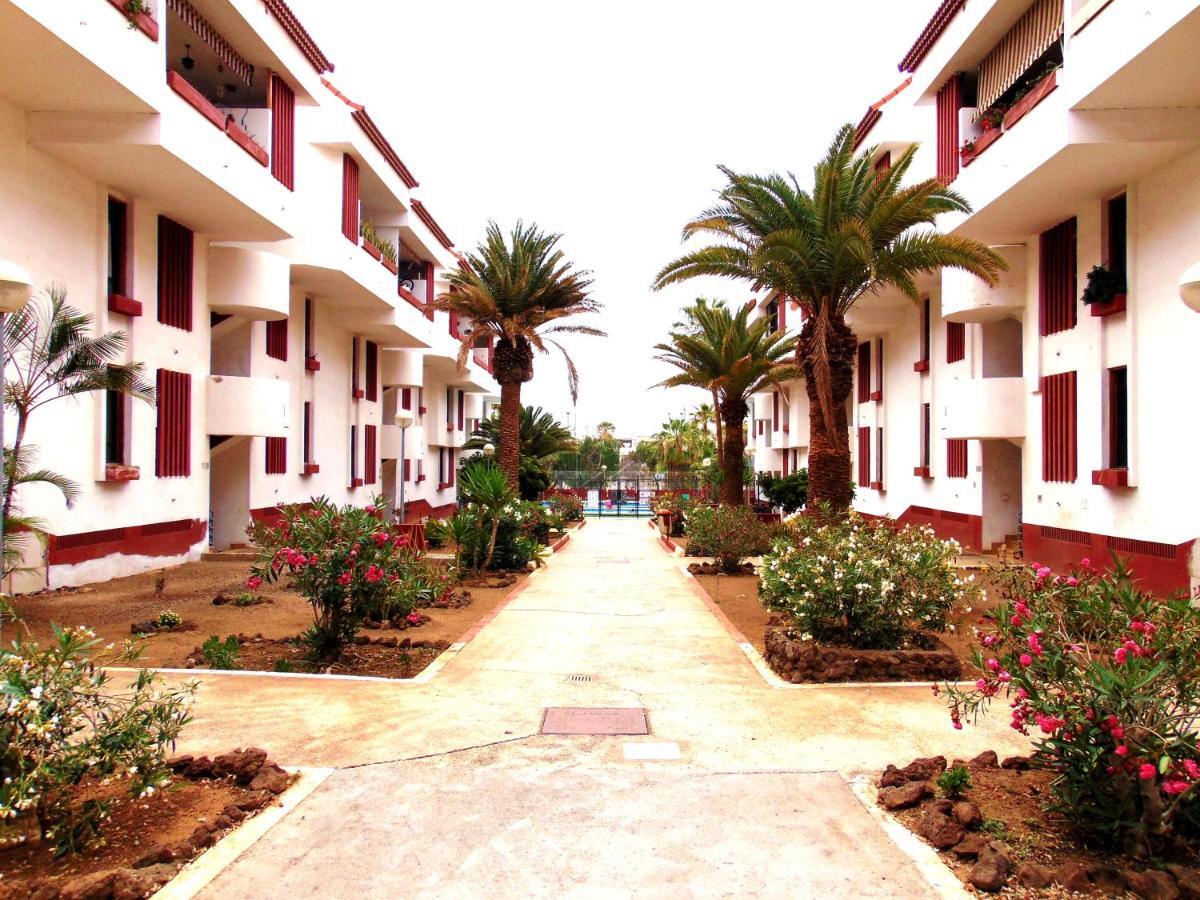 Apartment Altemar In Las Americas Плая-де-лас-Америкас Экстерьер фото